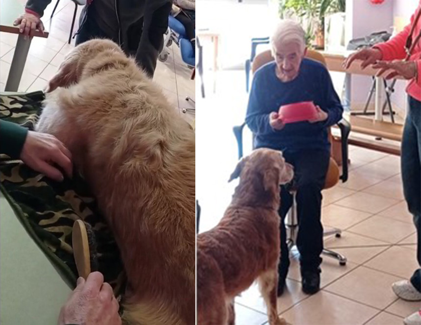 pet-therapy-rsa